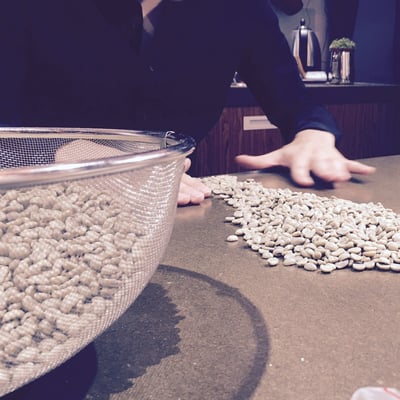 哥斯大黎加 音樂家 莫扎特 葡萄乾蜜處理1