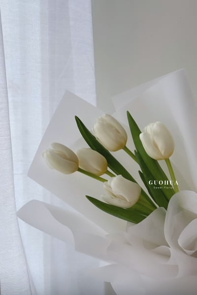 鬱金香5枝包裝花束1