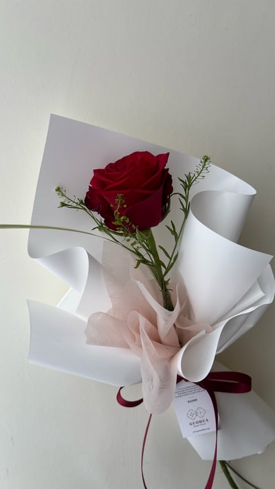 經典紅玫瑰花束｜單枝1