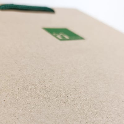 GREEN BAG 環保紙袋3