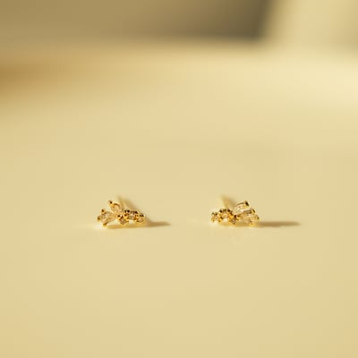 迷你自然美 (可改夾)1