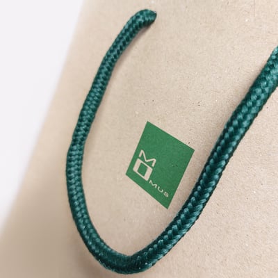 GREEN BAG 環保紙袋2