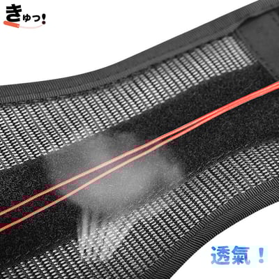 冠得樂雙向滑輪健美腰帶4