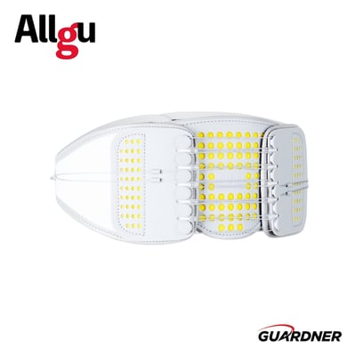 Allgu SS-Belt專業運動腰帶6