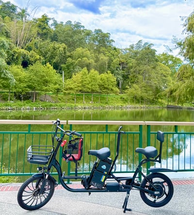 協力電動車旗艦版/2hr1