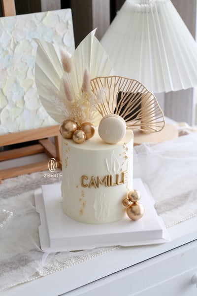 「系列」白金卡蜜拉2