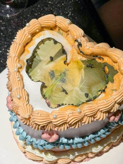 「燃燒蛋糕」多色派對款3