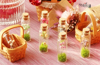 極度花燥永生花乾燥花材專賣店 許願瓶組 花禮1