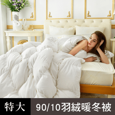 台灣製造義大利La Belle《法國天然水鳥羽毛絨暖冬被》--特大1