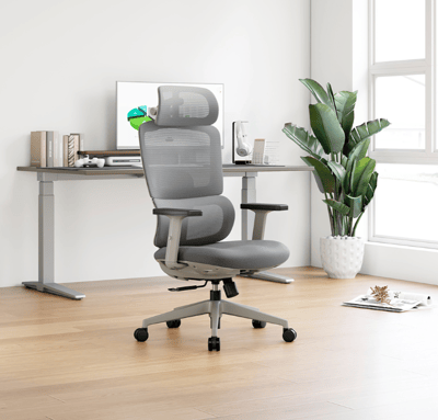 DEPE 德邁國際BPFC900 辦公椅/電腦椅/電競椅/工學椅 IONRAX.co.ltd2