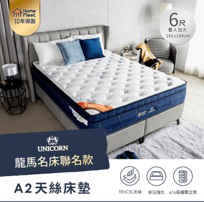 H&D 東稻家居HOME MEET A2天絲床墊(龍馬名床聯名款)-6尺雙人加大床墊1