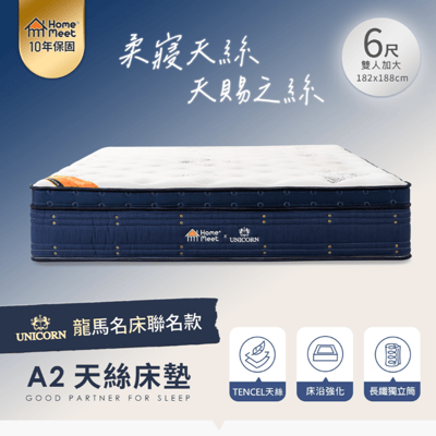H&D 東稻家居HOME MEET A2天絲床墊(龍馬名床聯名款)-6尺雙人加大床墊2