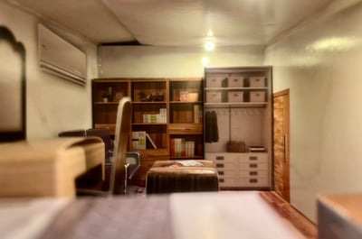 紙紮屋花園別墅2