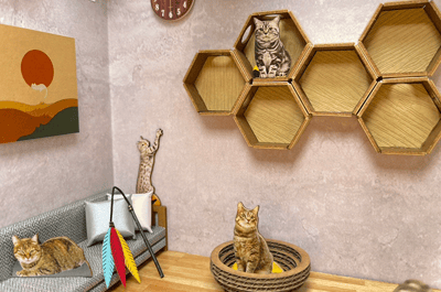 紙紮貓寵物情境2