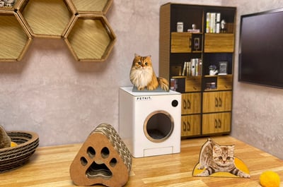 紙紮貓寵物情境3