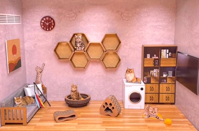 紙紮貓寵物情境4