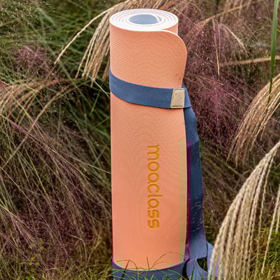 Moaclass 雙面兩用健身瑜珈墊 珊瑚-霧藍 MOA012