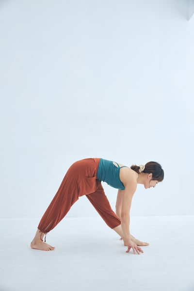 【6色】Sohamsoham 瑜珈側開岔綁帶束腳寬褲 磚紅色 SOH001BRK5