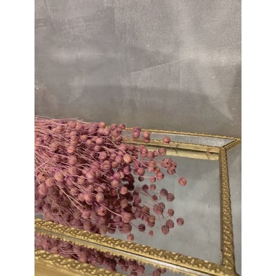 臨花/亞麻果實4