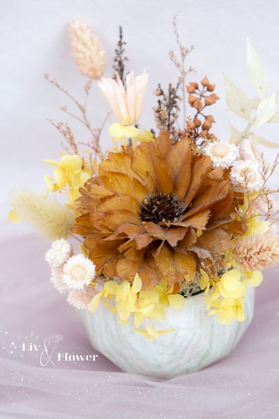 索拉花+不凋花 小盆花3