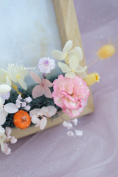 索拉花+不凋花 相框4