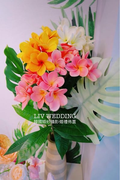 Liz Cakes 品牌活動4