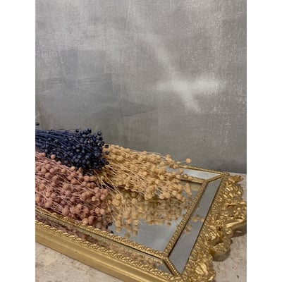 臨花/亞麻果實1