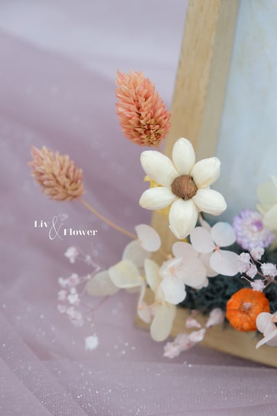 索拉花+不凋花 相框2