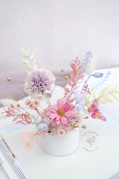 索拉花+不凋花 小盆花5