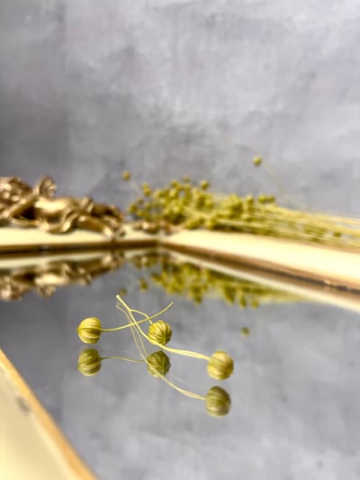 臨花/亞麻果實9