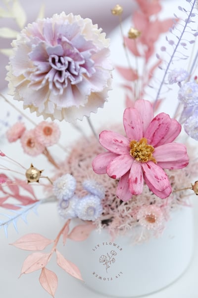 索拉花+不凋花 小盆花4