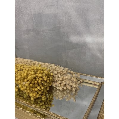 臨花/亞麻果實5