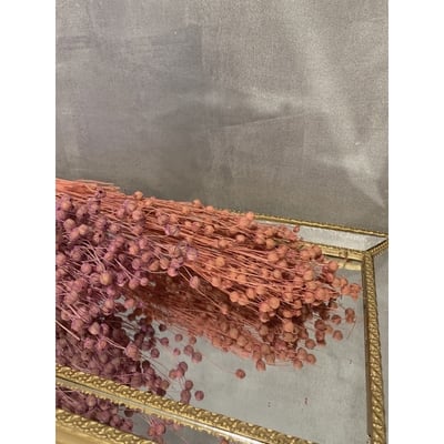 臨花/亞麻果實3