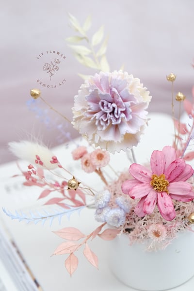 索拉花+不凋花 小盆花2