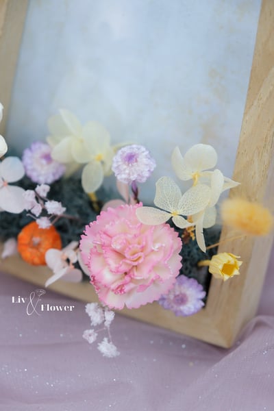 索拉花+不凋花 相框5