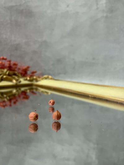 臨花/亞麻果實11