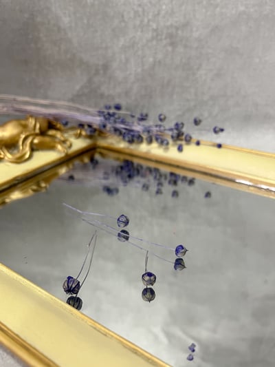 臨花/亞麻果實10