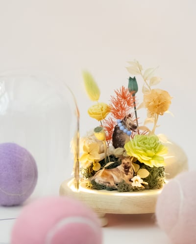 Liv Flower x 流浪動物花園 毛孩鐘罩花藝體驗（目前場次都已額滿）2