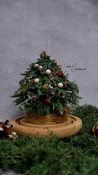 野園森林系列-永生聖誕花禮課6