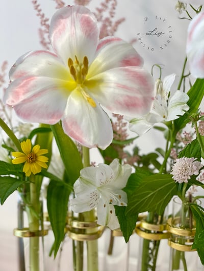 英國TQUK鮮花/法式AAFF鮮花證照 共同體驗課-試管花4