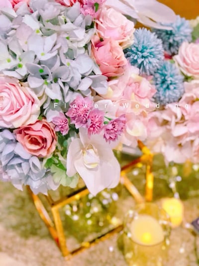 Living One 台大明達館11