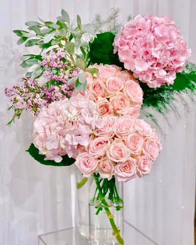 利河伯使徒中心12