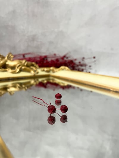 臨花/亞麻果實7