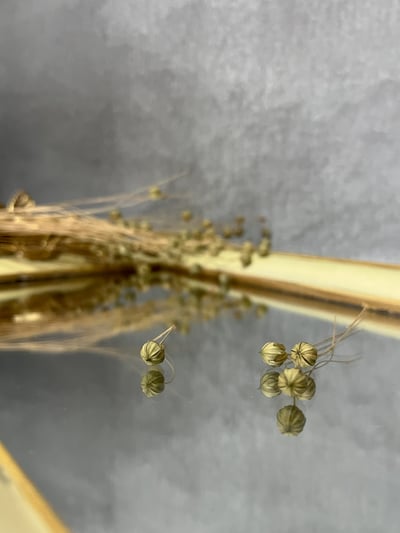 臨花/亞麻果實8