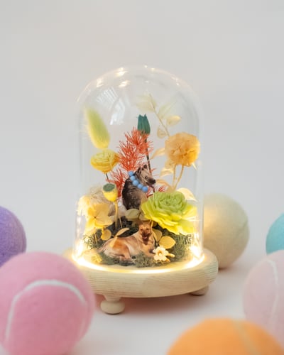 Liv Flower x 流浪動物花園 毛孩鐘罩花藝體驗（目前場次都已額滿）4