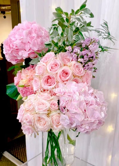 利河伯使徒中心2