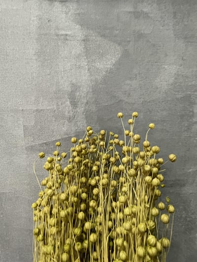 臨花果(富貴豆)1