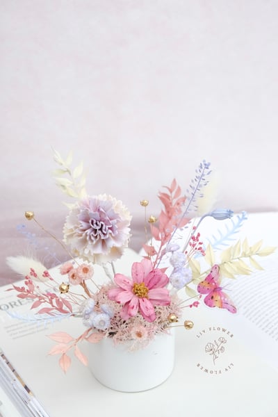 索拉花+不凋花 小盆花1