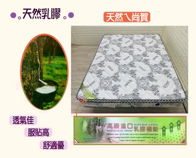 【天絲表布】潔兒天然乳膠獨立筒4