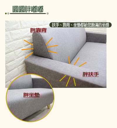 巧倆人貓抓皮沙發5